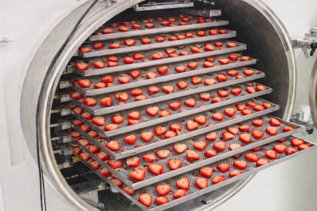 INICIO 1abdba0c ce6b 45c4 8c7e c8369558a171